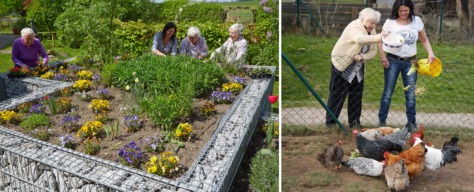 Bepflanzung der Hochbeete und Tierfütterung
